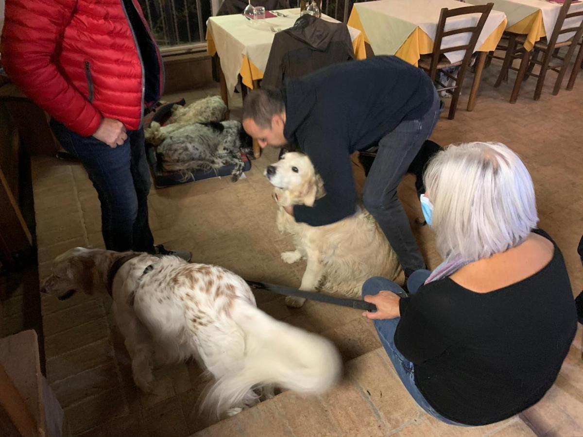 SetterHouseAgriHotel Trevi Eksteriør bilde
